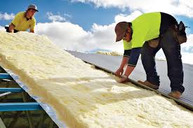 Best Insulation for New Construction  in Durant, IA